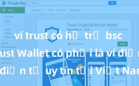 ví trust có hỗ trợ bsc không Trust Wallet có phải là ví điện tử uy tín tại Việt Nam không?